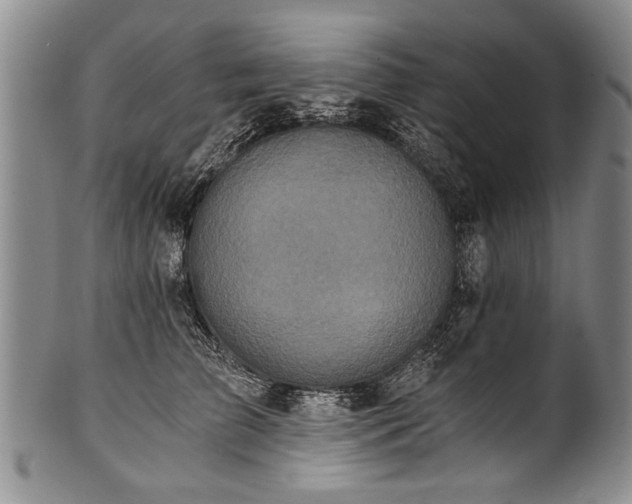 X0000101120709200806261436