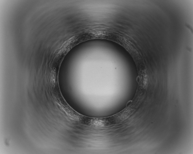 X0000101120710200806261436