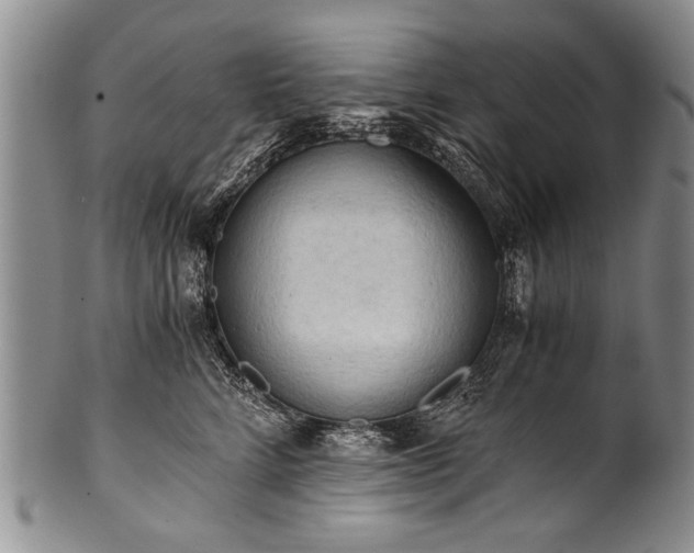 X0000101120712200806261436