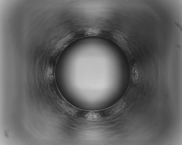 X0000101120714200806261436