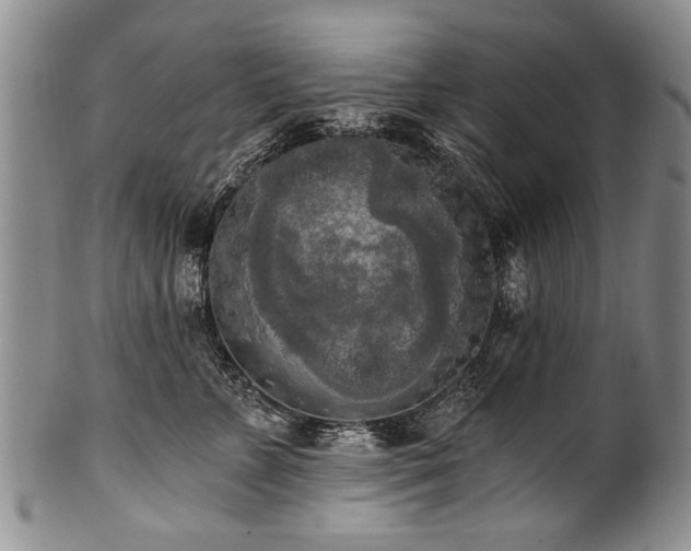 X0000101120715200806261436