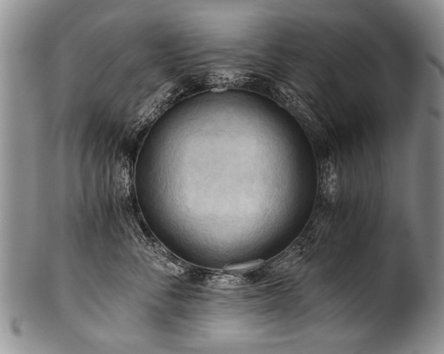 X0000101120716200806261436