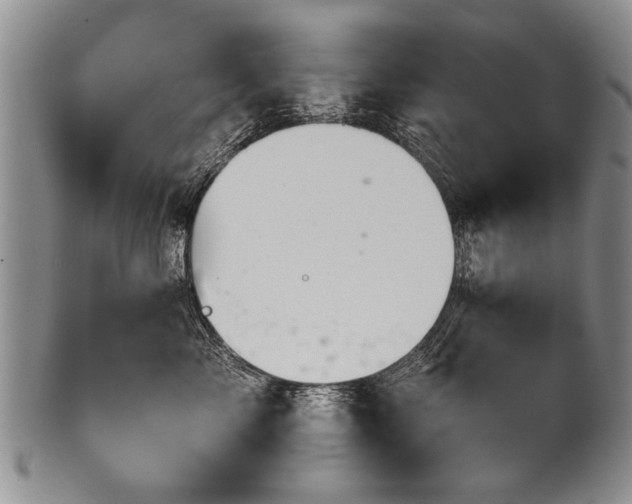 X0000101120717200806261436