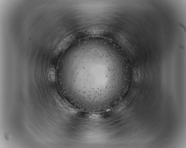 X0000101120718200806261436