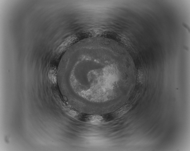 X0000101120719200806261436