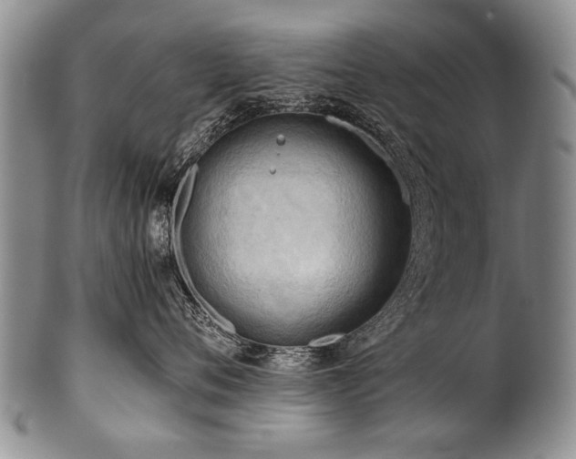 X0000101120720200806261436