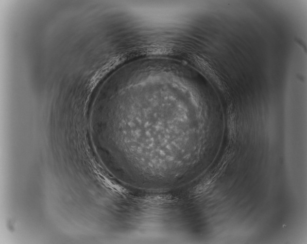 X0000101120721200806261435