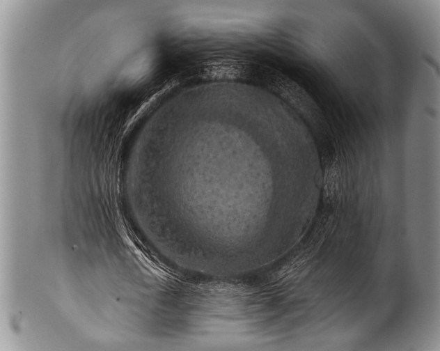 X0000101120722200806261435