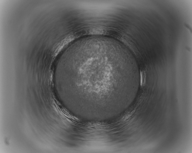 X0000101120723200806261435