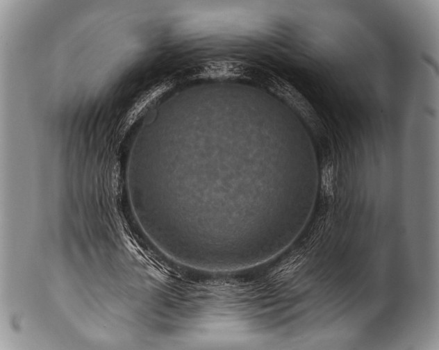 X0000101120724200806261435