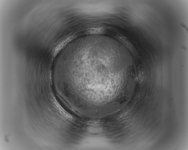 X0000101120725200806261435
