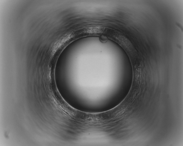 X0000101120727200806261436