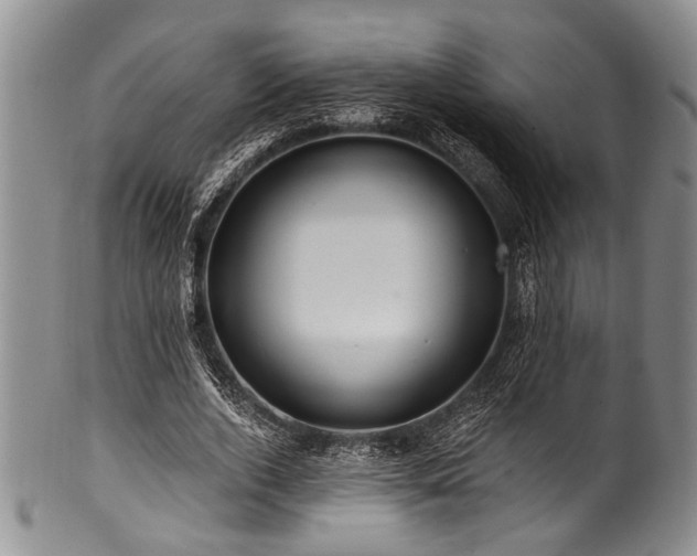 X0000101120728200806261436