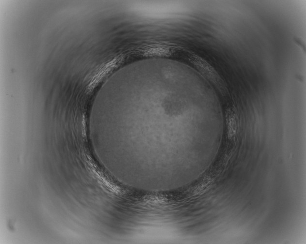 X0000101120729200806261436