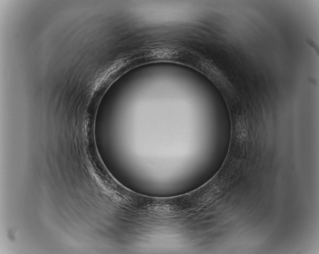 X0000101120730200806261436