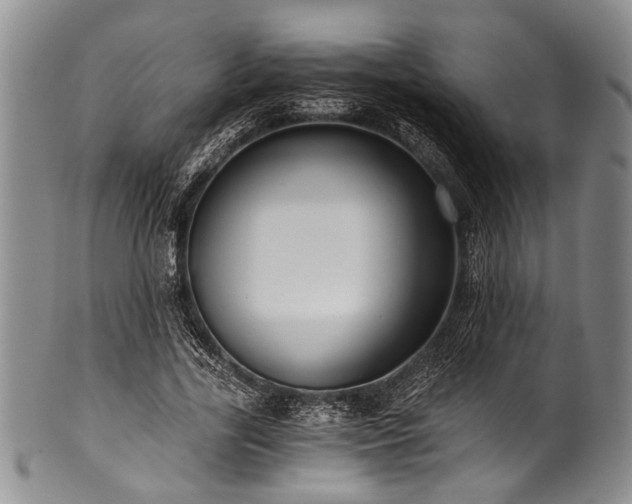X0000101120731200806261436