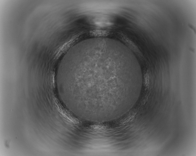 X0000101120733200806261436
