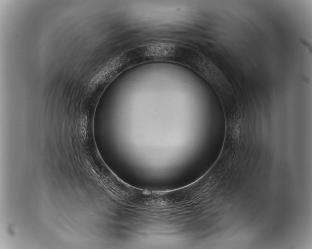 X0000101120735200806261436