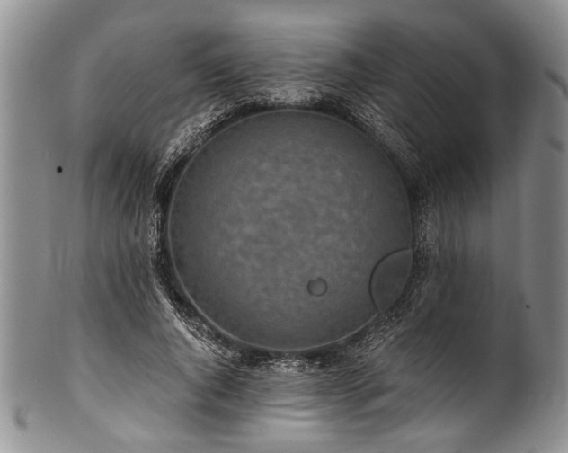 X0000101120736200806261436