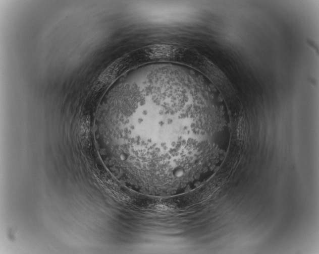 X0000101120737200806261436
