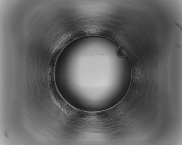 X0000101120738200806261436