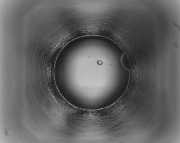 X0000101120739200806261436