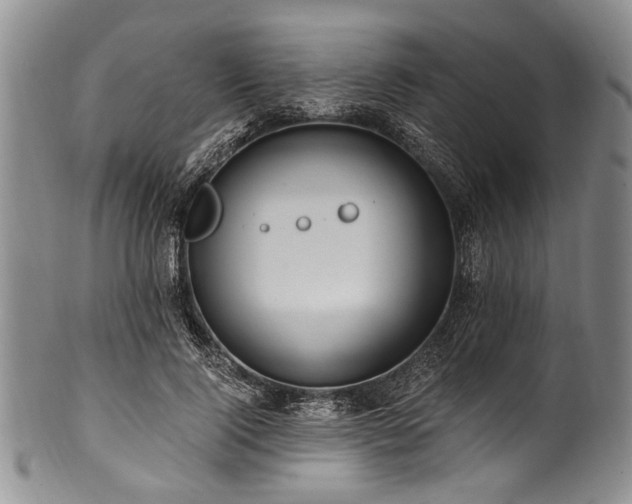 X0000101120740200806261436