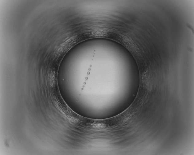 X0000101120741200806261436