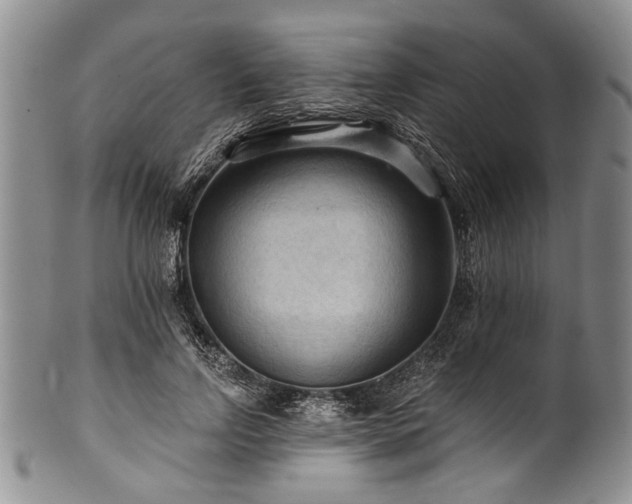 X0000101120742200806261436