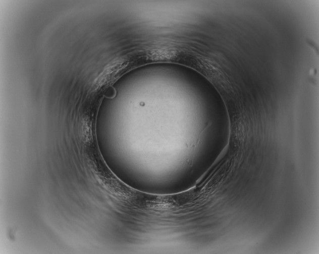 X0000101120743200806261436