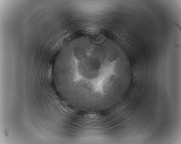 X0000101120745200806261436