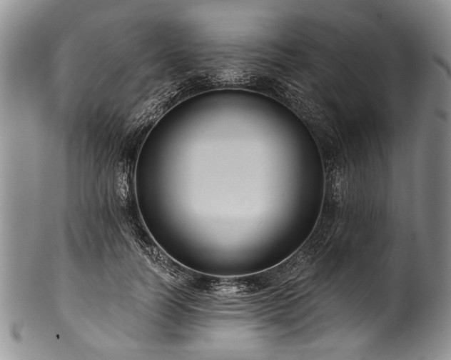 X0000101120746200806261436