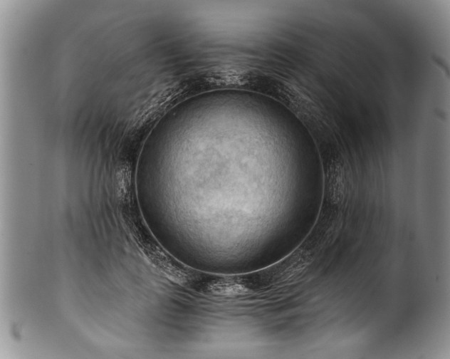 X0000101120747200806261436