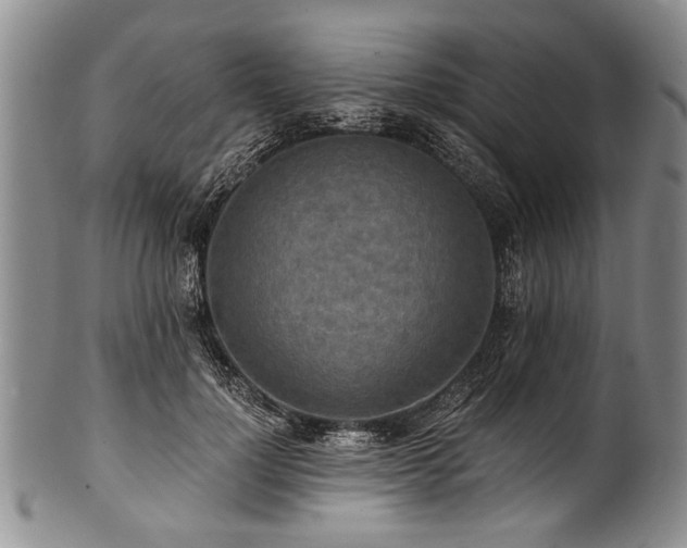 X0000101120748200806261436