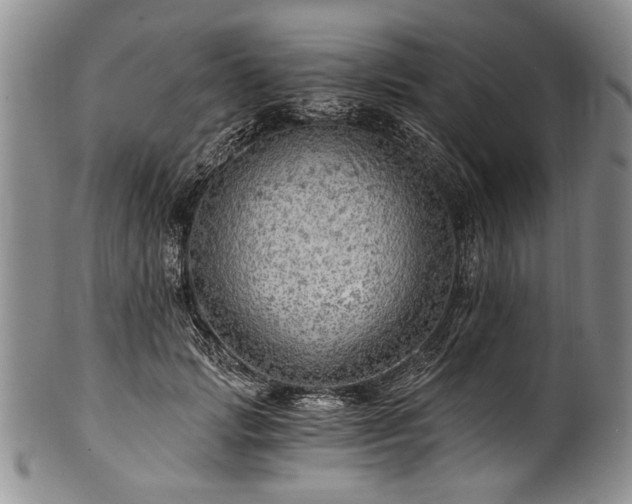 X0000101120749200806261436