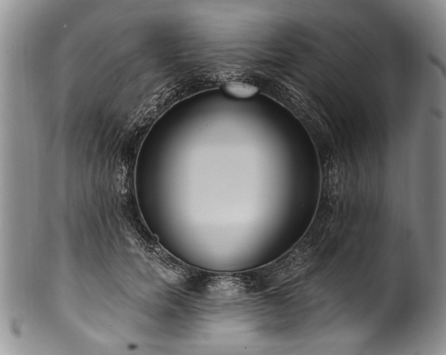 X0000101120750200806261436