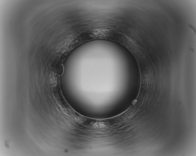 X0000101120751200806261436