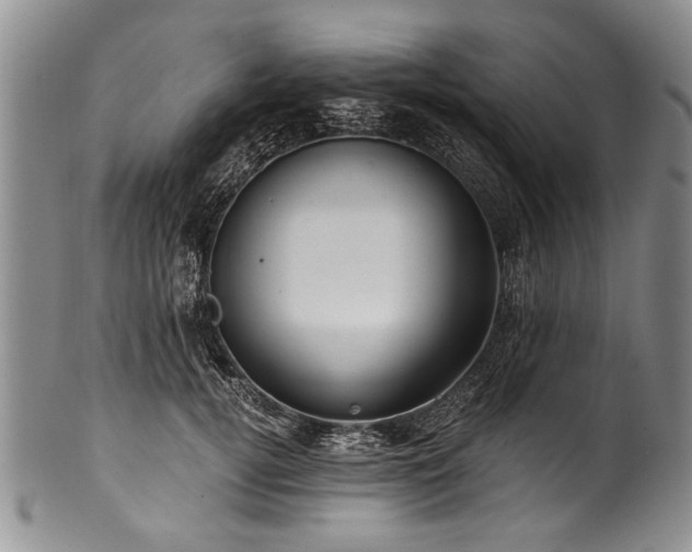 X0000101120752200806261436