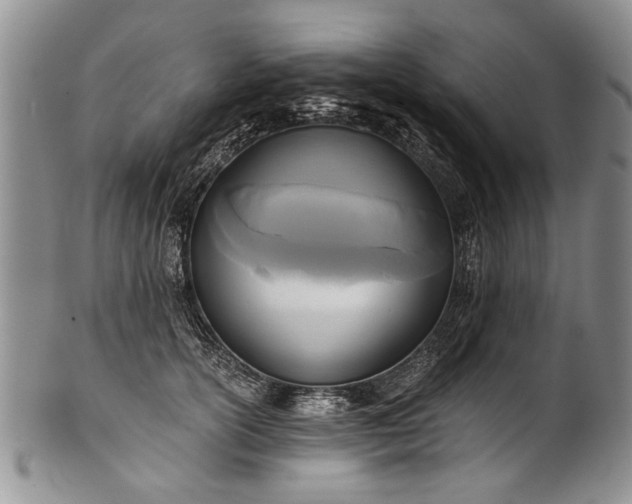 X0000101120754200806261436