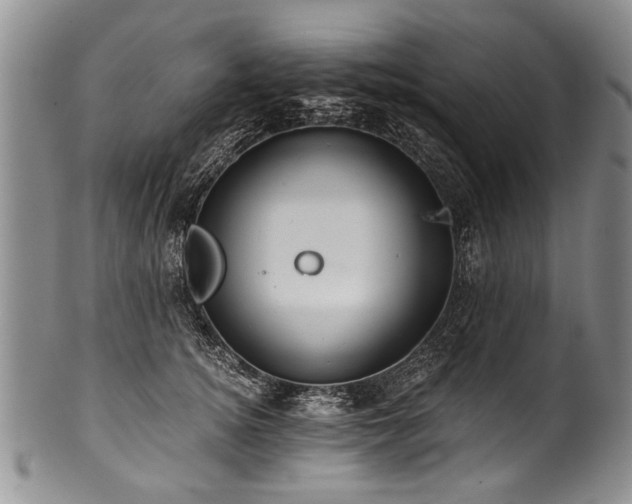 X0000101120756200806261436