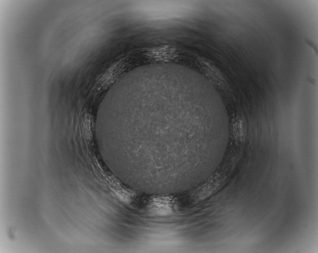 X0000101120757200806261436