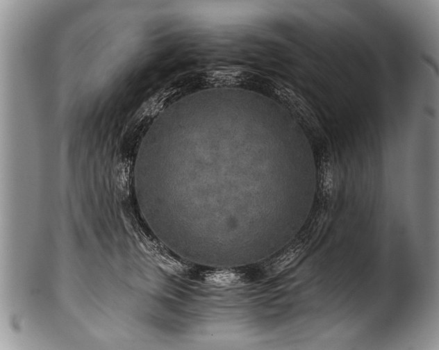 X0000101120759200806261436