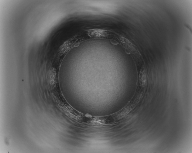 X0000101120760200806261436