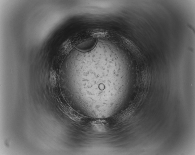X0000101120761200806261436