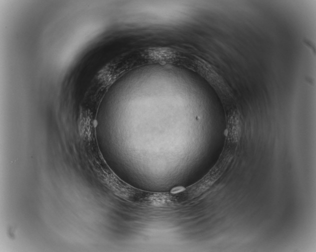 X0000101120762200806261436