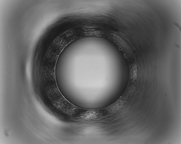 X0000101120764200806261436