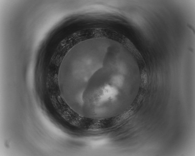 X0000101120765200806261436
