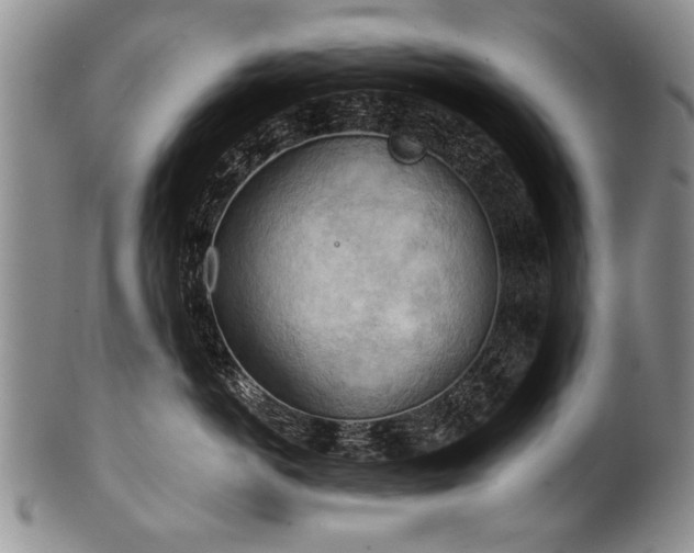 X0000101120766200806261436