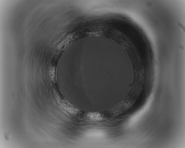 X0000101120767200806261436