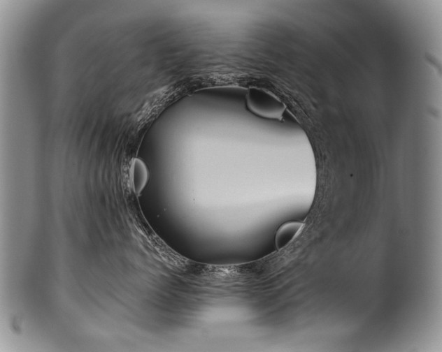 X0000101120768200806261436